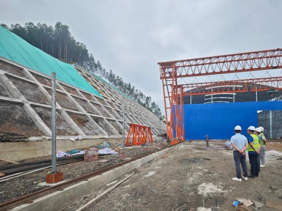 6c2b3cd553a4175890543738491e3b19